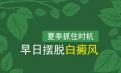 白癜风北京专科医院介绍夏季快结束的时候怎么治疗白癜风